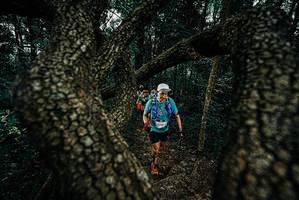 BIB: 
                            <button type="button" onclick="openModal(25685646)" class="btn btn-primary btn-sm float-right btn-popup" data-toggle="modal" data-target=".modal-high-quality">
                        <i class="fas fa-shopping-cart"></i> Add to Cart
                    </button>
                                            <button type="button" onclick="isThisMe(25685646, true)" class="btn btn-success btn-sm float-right btn-popup btn-isme hidden" data-toggle="tooltip" data-placement="bottom" title="นี่คือรูปของคุณใช่ไหม คลิกที่นี่เพื่อเอาเข้าอัลบั้ม">
                        <i class="fas fa-plus"></i> Add to album
                    </button>
                    <button type="button" onclick="isThisMe(25685646, false)" class="btn btn-warning btn-sm float-right btn-popup btn-isnotme hidden">
                        <i class="fas fa-ban"></i> Remove from album
                    </button>